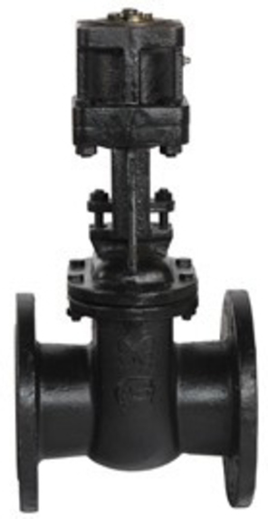 Задвижка 30ч906бр, Ду-250, Ру-10