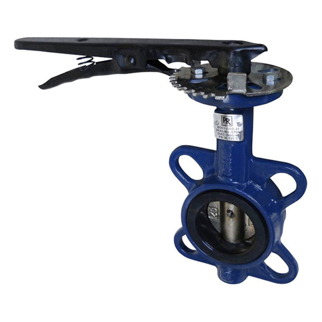 Затвор чугунный дисковый с чугунным диском, Ду-125,Ру-16